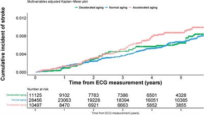 Association between deep neural network-derived electrocardiographic-age and incident stroke